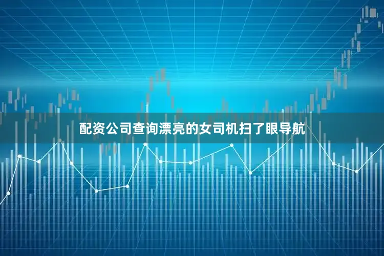 配资公司查询漂亮的女司机扫了眼导航